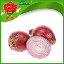 Lowest price fresh red onion